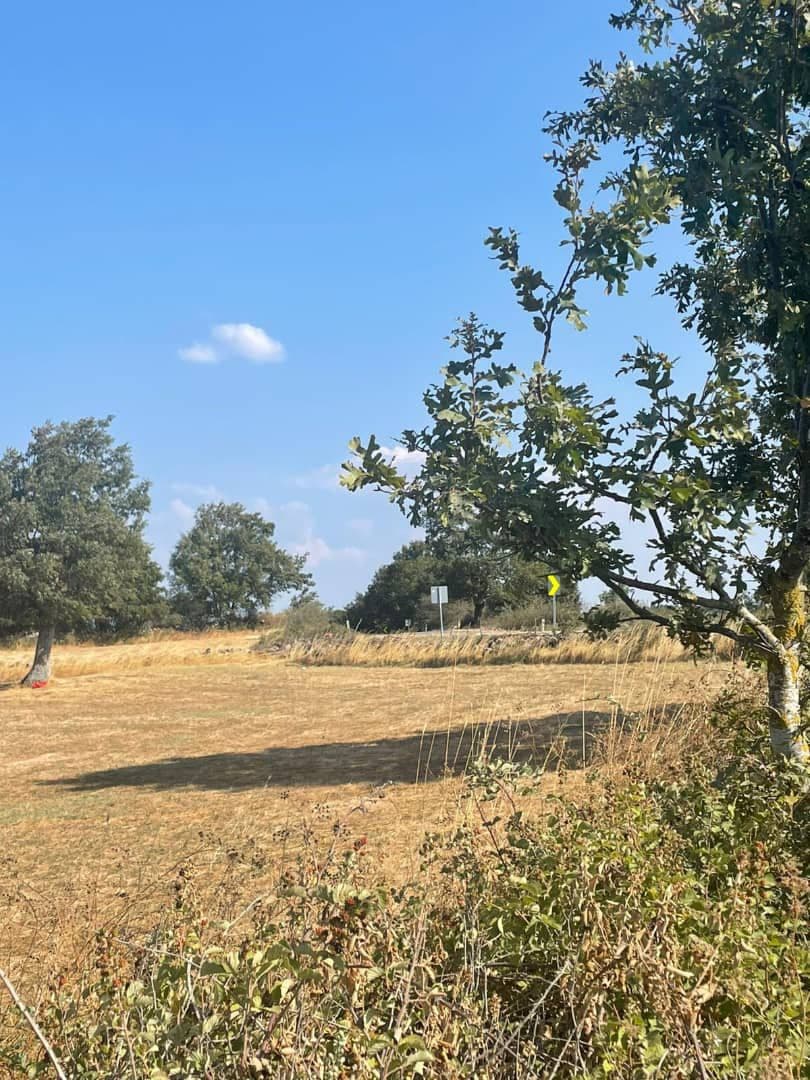 9100 M2 Çiflik Arazisi — fotoğraf 3