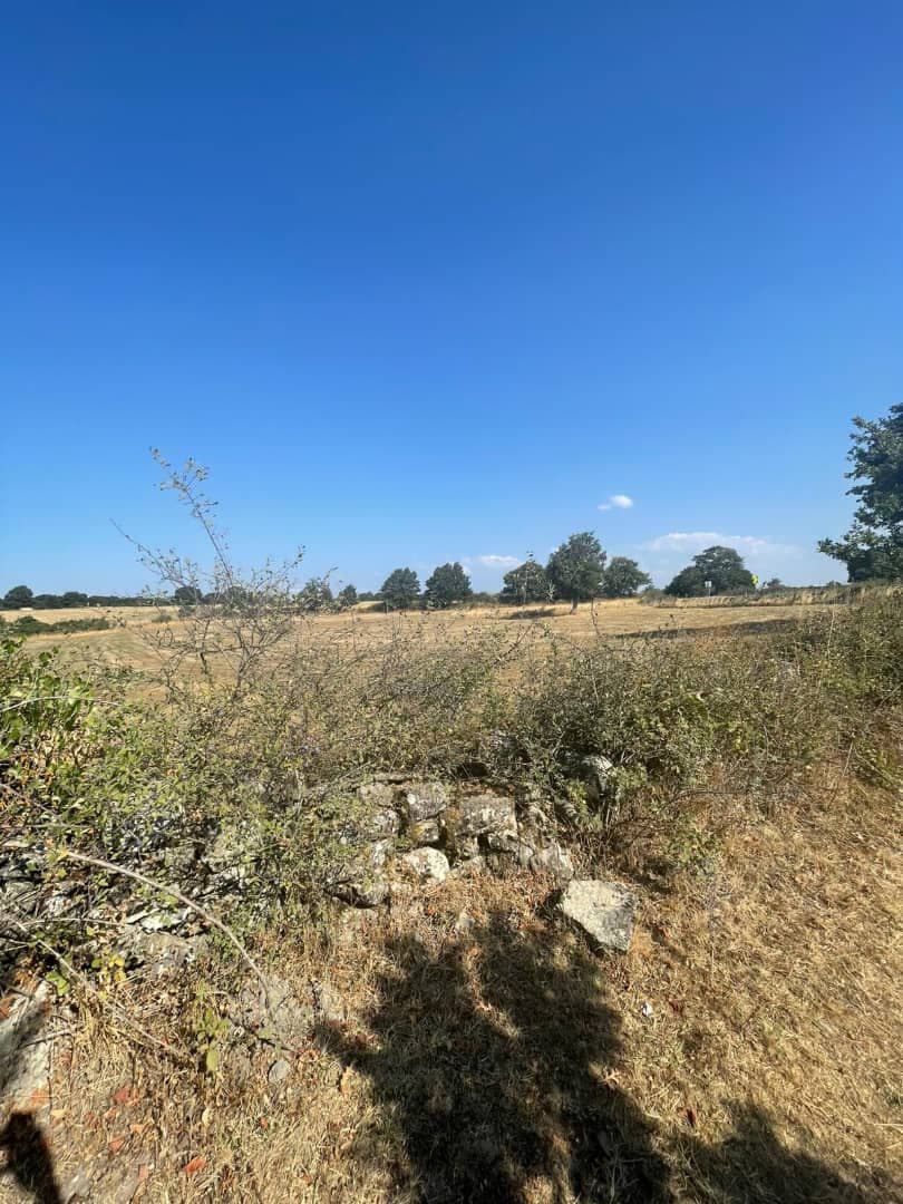 9100 M2 Çiflik Arazisi — fotoğraf 4